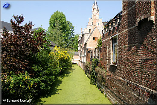 Mechelen : mossy canal