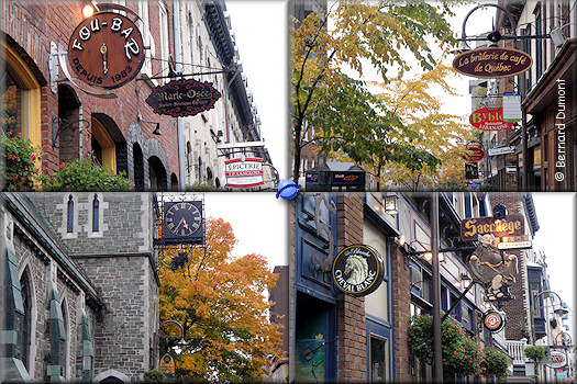 Quebec City, signs in St.Jean Street