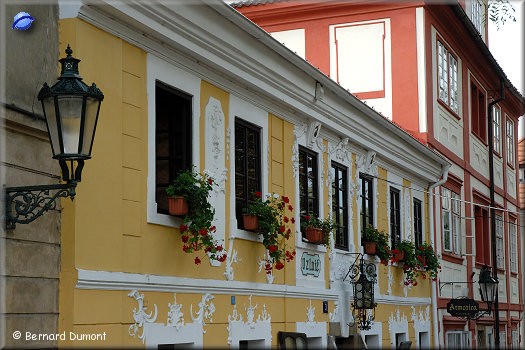 Prague : flowered windows