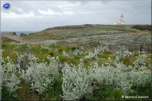 Belle-Île-en-Mer : lighthouse at Pointe des Poulains