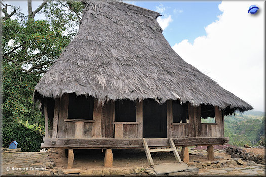 (Flores) Traditional house of the Lio ethnic group