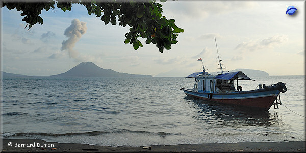 (Sunda Strait) Anak Krakatau viewed from Rakata Island