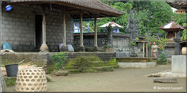 (Bali) In the country