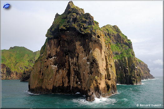 (Vestmannaeyjar) Cliffs of Heimaey Island