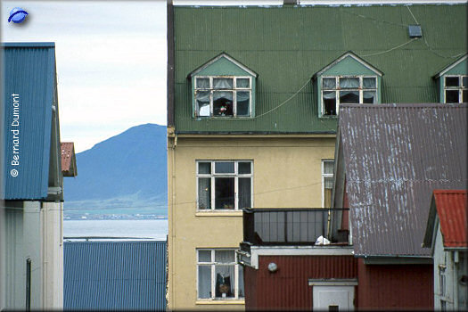 Reykjavík, colourful houses