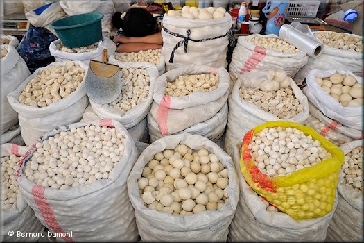 Bishkek, Osh Bazaar, kuruts (dried cheese balls)