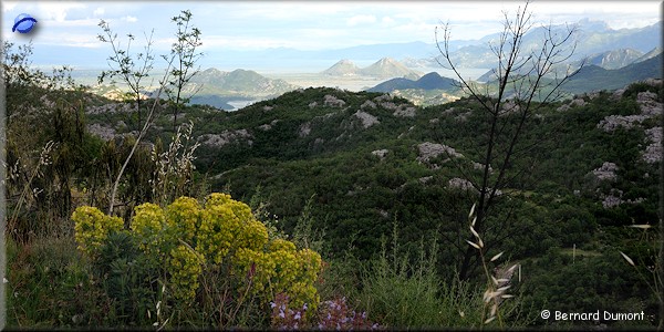 View towards Lake Skadar
