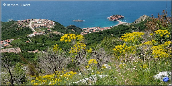 Sveti Stefan peninsula