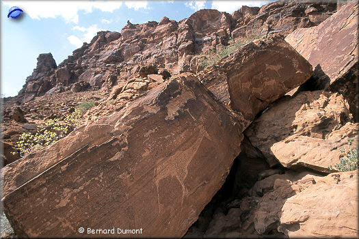 Twyfelfontein, petroglyphs (some of them are 6,000 years old)