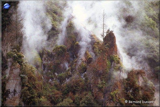 Waimangu valley, fumaroles