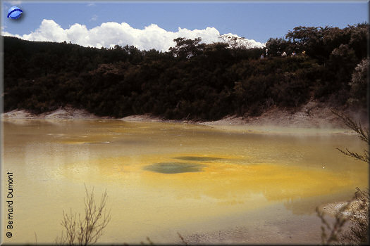 Wai-o-Tapu thermal reserve, "The artist palette"