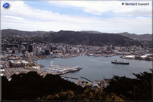 Wellington, view from Mount Victoria