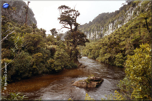 Paparoa national park