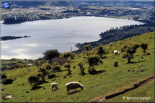 Lake Wanaka, view to the town of Wanaka