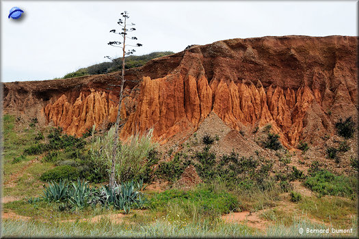 Colorful cliffs near Quarteira