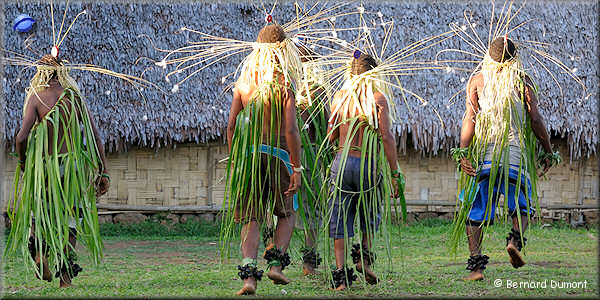(Gaua) Traditional dance "Mago" at Losalava