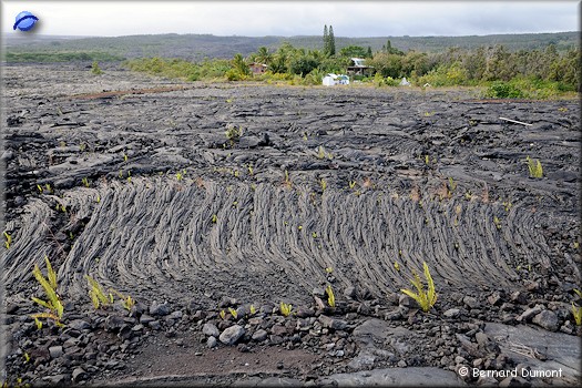 (Big Island) Kalapana village, engulfed by Kilauea lava
