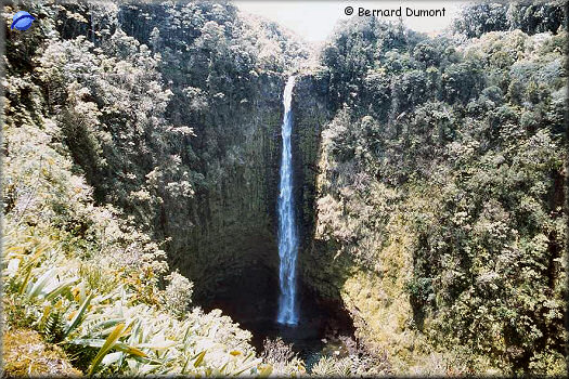 (Big Island) Akaka Falls