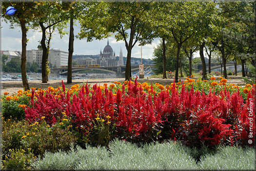 Budapest : the Parliament viewed from Margaret Island