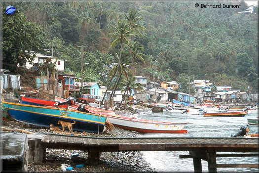 Soufriere, landing stage in the rain