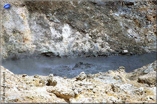Near Soufriere, boiling mud