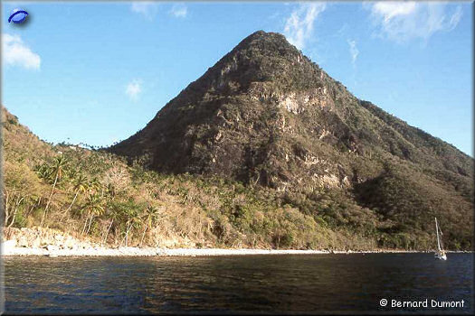 Pitons Cove, Gros piton