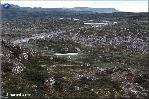 Road from Oslo to Bergen