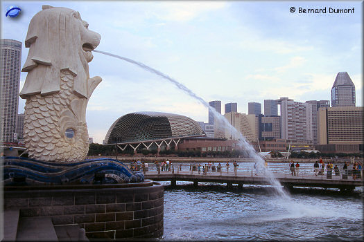 Singapour : la statue du Merlion (8,60 m de haut)