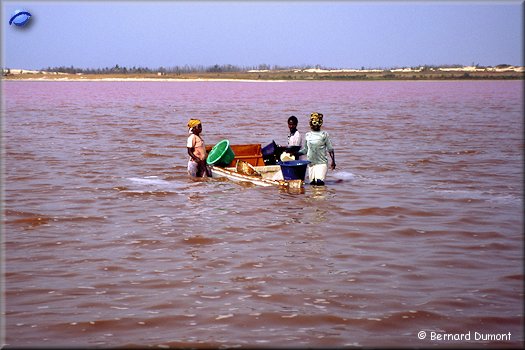 Pink lake (Lake Retba in Wolof), salt picking