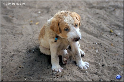 You know what ? I'm not so happy...