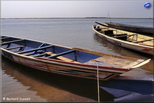 Boats on Saloum river