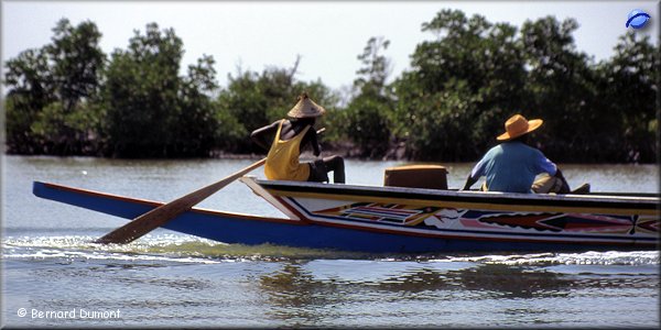 On Saloum river