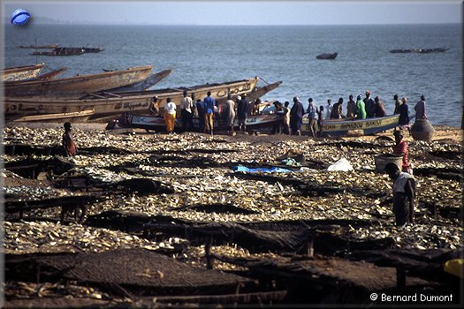 Mbour, fishing port