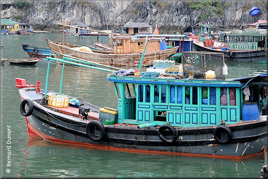Fishing boats in Bái Tử Long Bay