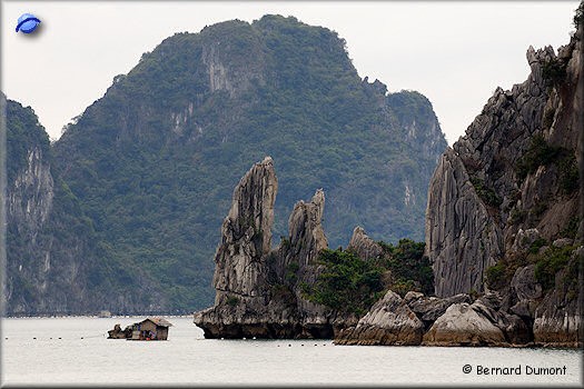 Floating house in Bái Tử Long Bay