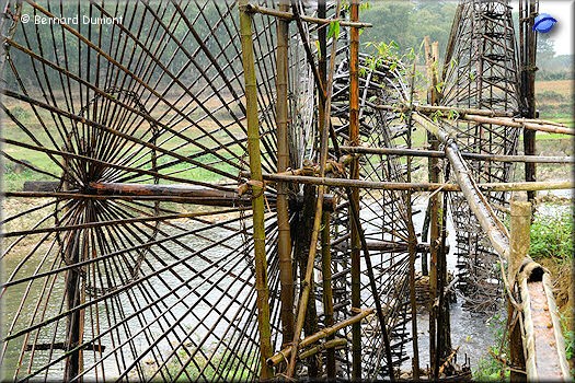 Paddy fields irrigated by water wheels made of bamboo