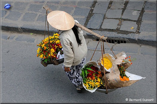 In the old town of Hội An