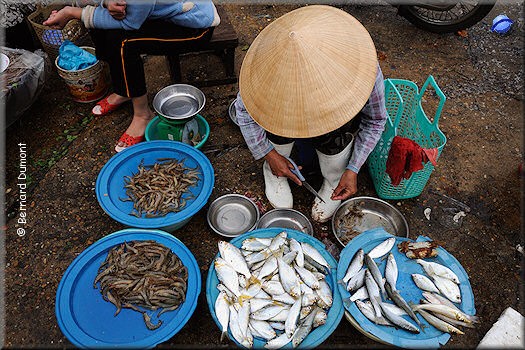 Hội An, fish market