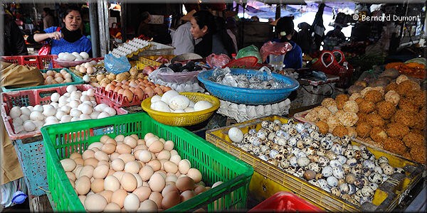 Hội An, egg market