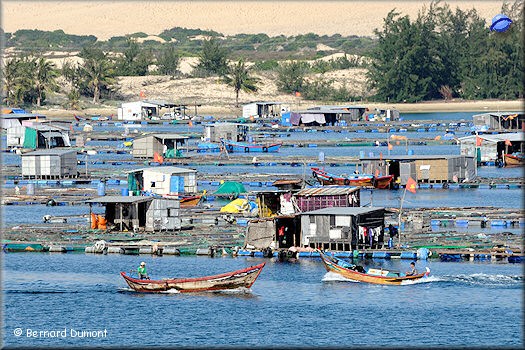 Fishing boats near Whale Island