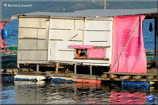 Fisherman near Whale Island