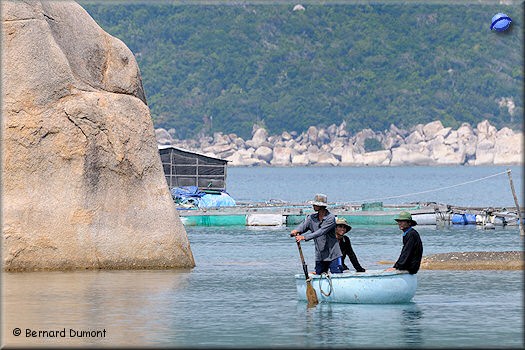 Khải Lương, typical circular boat
