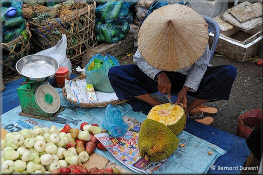 Mekong Delta, Vĩnh Long market : jackfruit
