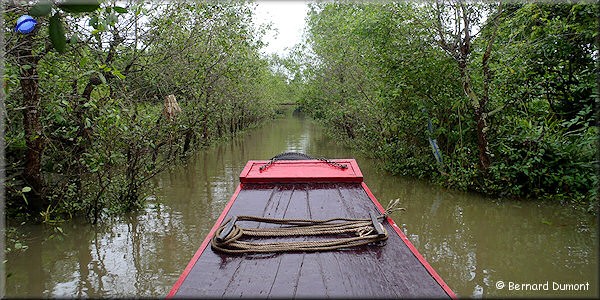 Mekong Delta