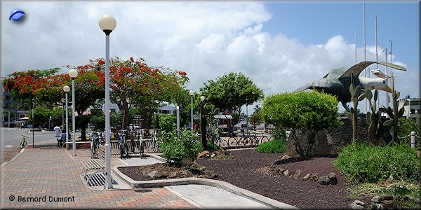 (Santa Cruz) Puerto Ayora main square