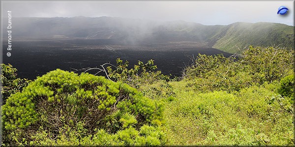 (Isabela) Crater of Sierra Negra volcano