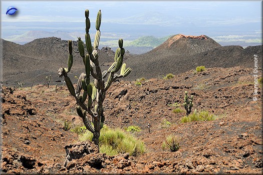 (Isabela) Near Chico volcano