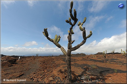 (Isabela) Near Chico volcano