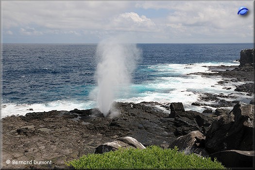 (Española, Punta Suárez) Blowhole