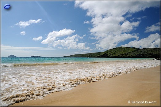 (Floreana, Punta Cormorant) Beach